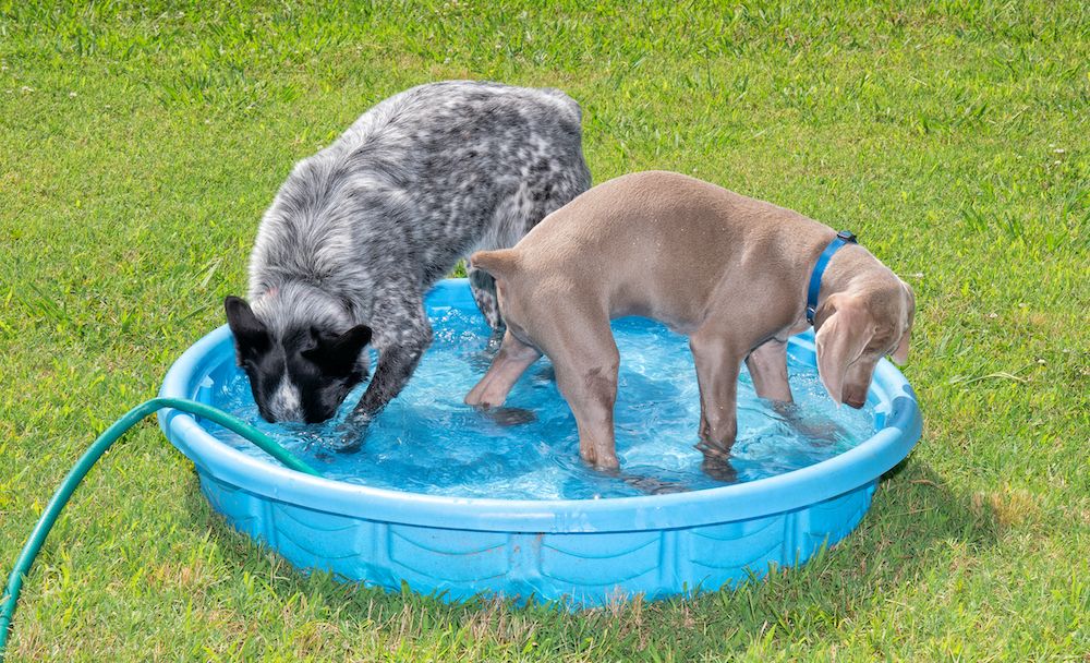 The Gossip Column, July 2, 2021